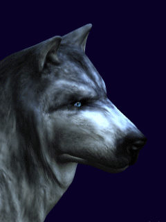 3D Screensavers 0034